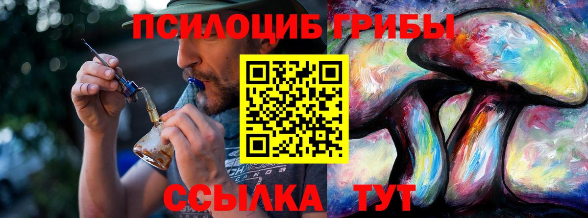 Егорьевск  Галлюциногенные грибы мицелий  Вход с VPN 